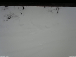 長野県菅平高原 ゆたか山荘 南側 2026/01/25 15:45