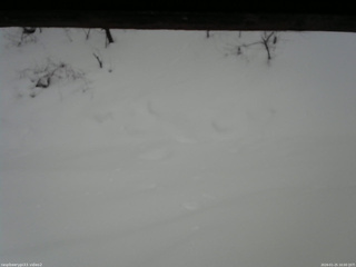 長野県菅平高原 ゆたか山荘 南側 2026/01/25 16:00