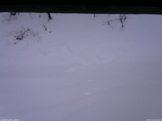 長野県菅平高原 ゆたか山荘 南側 2026/01/25 16:30