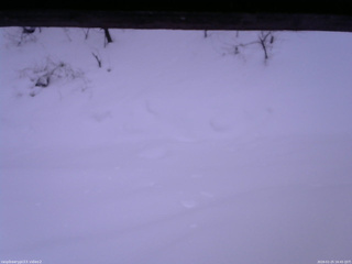 長野県菅平高原 ゆたか山荘 南側 2026/01/25 16:45