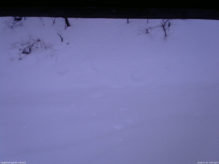 長野県菅平高原 ゆたか山荘 南側 2026/01/25 17:00