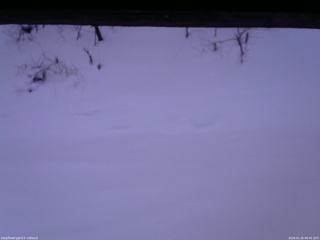 長野県菅平高原 ゆたか山荘 南側 2026/01/26 06:45