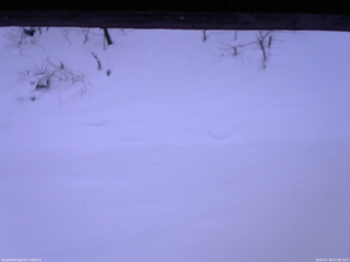 長野県菅平高原 ゆたか山荘 南側 2026/01/26 07:00