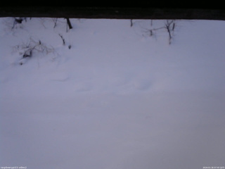 長野県菅平高原 ゆたか山荘 南側 2026/01/26 07:45