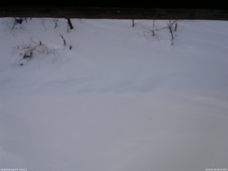 長野県菅平高原 ゆたか山荘 南側 2026/01/26 08:45