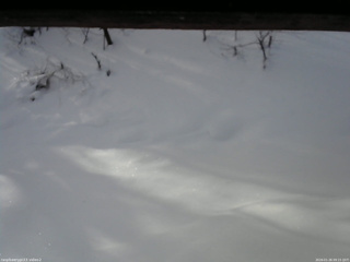 長野県菅平高原 ゆたか山荘 南側 2026/01/26 09:15