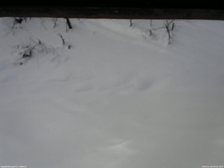 長野県菅平高原 ゆたか山荘 南側 2026/01/26 09:30