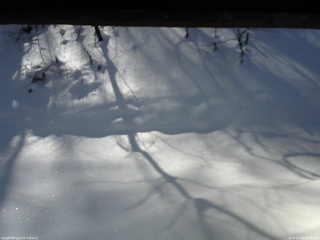 長野県菅平高原 ゆたか山荘 南側 2026/01/26 10:45