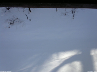 長野県菅平高原 ゆたか山荘 南側 2026/01/26 13:15