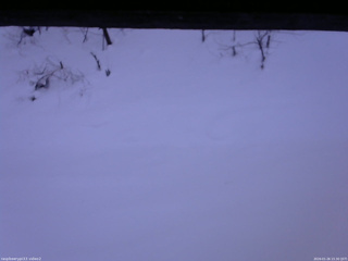 長野県菅平高原 ゆたか山荘 南側 2026/01/26 15:30