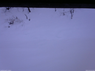 長野県菅平高原 ゆたか山荘 南側 2026/01/26 15:45