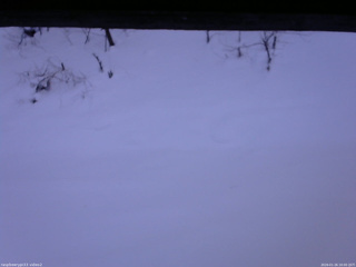 長野県菅平高原 ゆたか山荘 南側 2026/01/26 16:00