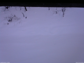 長野県菅平高原 ゆたか山荘 南側 2026/01/26 16:30