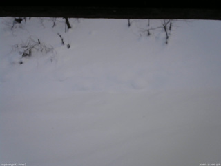 長野県菅平高原 ゆたか山荘 南側 2026/01/26 16:45