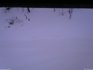 長野県菅平高原 ゆたか山荘 南側 2026/01/28 06:45