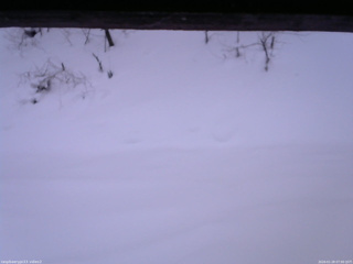 長野県菅平高原 ゆたか山荘 南側 2026/01/28 07:00