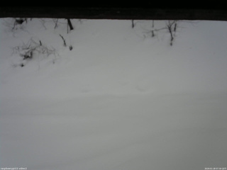 長野県菅平高原 ゆたか山荘 南側 2026/01/28 07:30