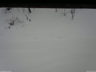 長野県菅平高原 ゆたか山荘 南側 2026/01/28 07:45