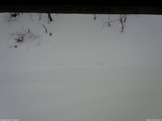 長野県菅平高原 ゆたか山荘 南側 2026/01/28 08:00