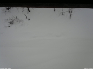 長野県菅平高原 ゆたか山荘 南側 2026/01/28 08:30