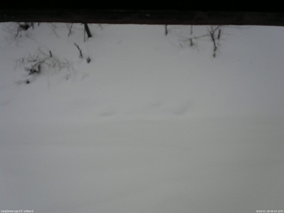 長野県菅平高原 ゆたか山荘 南側 2026/01/28 08:45