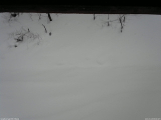 長野県菅平高原 ゆたか山荘 南側 2026/01/28 09:00