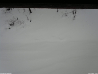 長野県菅平高原 ゆたか山荘 南側 2026/01/28 09:15