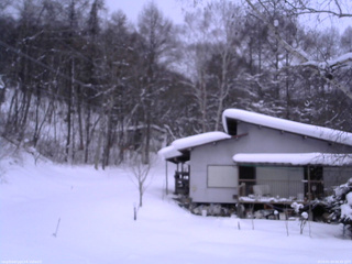 長野県菅平高原 ゆたか山荘 西側(坂上) 2026/01/29 06:45
