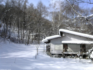 長野県菅平高原 ゆたか山荘 西側(坂上) 2026/01/29 10:30