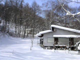 長野県菅平高原 ゆたか山荘 西側(坂上) 2026/01/29 11:00