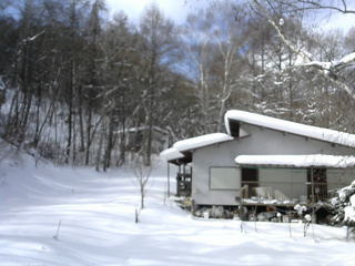長野県菅平高原 ゆたか山荘 西側(坂上) 2026/01/29 11:15