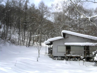 長野県菅平高原 ゆたか山荘 西側(坂上) 2026/01/29 12:15
