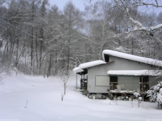 長野県菅平高原 ゆたか山荘 西側(坂上) 2026/01/30 08:45