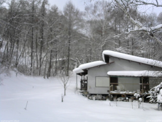 長野県菅平高原 ゆたか山荘 西側(坂上) 2026/01/30 10:30