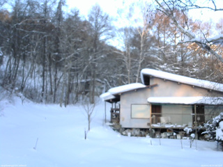 長野県菅平高原 ゆたか山荘 西側(坂上) 2026/01/31 07:00
