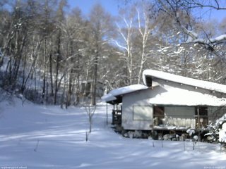 長野県菅平高原 ゆたか山荘 西側(坂上) 2026/01/31 09:30