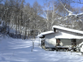 長野県菅平高原 ゆたか山荘 西側(坂上) 2026/01/31 10:00