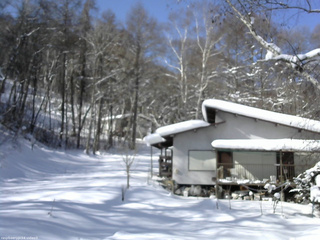 長野県菅平高原 ゆたか山荘 西側(坂上) 2026/01/31 10:45