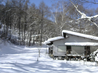 長野県菅平高原 ゆたか山荘 西側(坂上) 2026/01/31 11:00