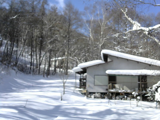 長野県菅平高原 ゆたか山荘 西側(坂上) 2026/01/31 11:15