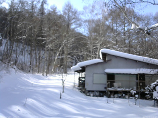 長野県菅平高原 ゆたか山荘 西側(坂上) 2026/01/31 14:00