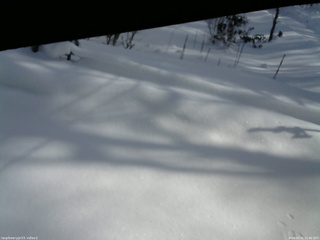 長野県菅平高原 ゆたか山荘 駐車場 2026/01/31 11:00