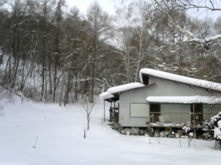 長野県菅平高原 ゆたか山荘 西側(坂上) 2026/02/01 08:15