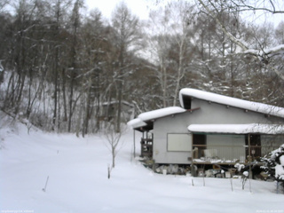 長野県菅平高原 ゆたか山荘 西側(坂上) 2026/02/01 08:30