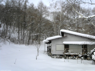 長野県菅平高原 ゆたか山荘 西側(坂上) 2026/02/01 08:45