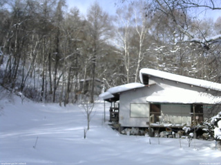 長野県菅平高原 ゆたか山荘 西側(坂上) 2026/02/01 09:30
