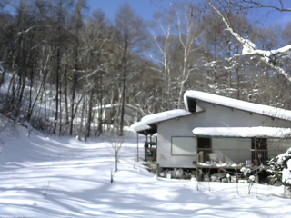 長野県菅平高原 ゆたか山荘 西側(坂上) 2026/02/01 11:00