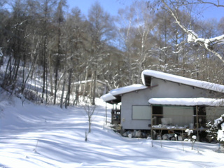 長野県菅平高原 ゆたか山荘 西側(坂上) 2026/02/01 12:15