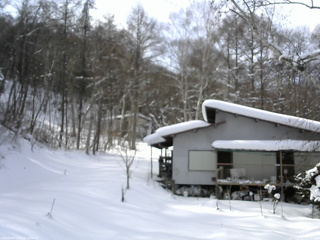 長野県菅平高原 ゆたか山荘 西側(坂上) 2026/02/01 13:15