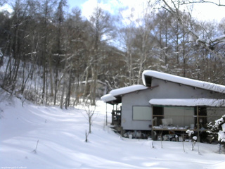 長野県菅平高原 ゆたか山荘 西側(坂上) 2026/02/01 13:30